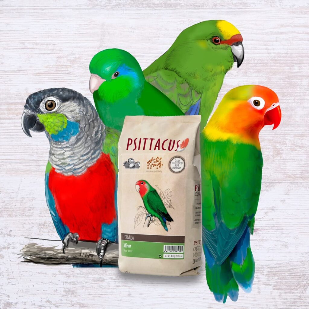 mejor comida para agapornis