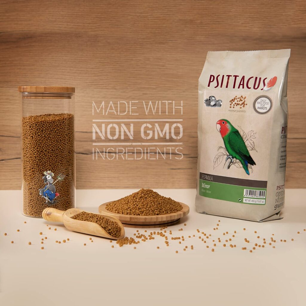 psittacus para agapornis